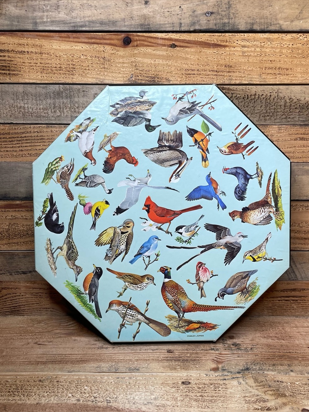 VINTAGE 1973 SPRINGBOK "STATE BIRDS" OCTAGON PUZZLE COMPLETE
